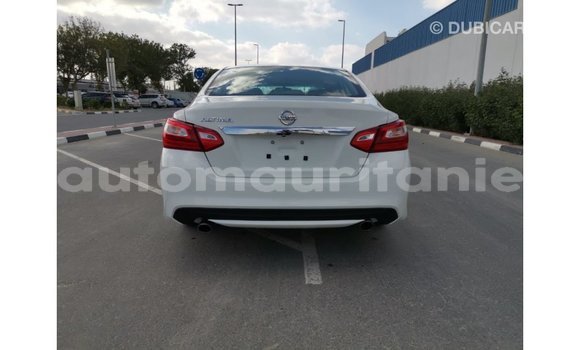 Buy Import Nissan Altima White Car in Import - Dubai in Adrar Buy Import Nissan Altima White Car in Import - Dubai in Adrar