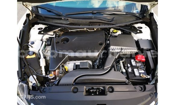 Buy Import Nissan Altima White Car in Import - Dubai in Adrar Buy Import Nissan Altima White Car in Import - Dubai in Adrar