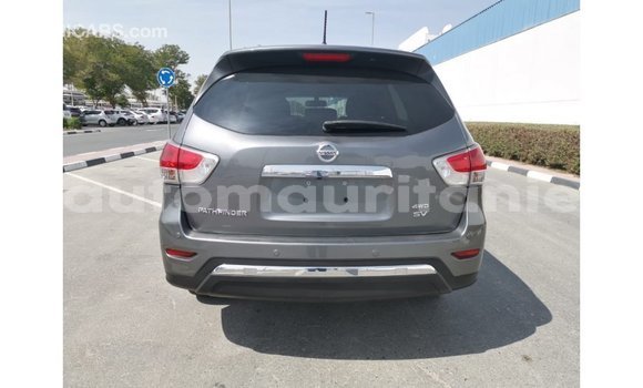 Buy Import Nissan Pathfinder Other Car in Import - Dubai in Adrar Buy Import Nissan Pathfinder Other Car in Import - Dubai in Adrar