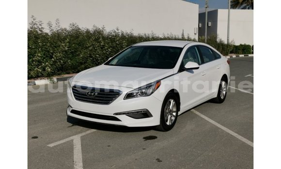 Buy Import Hyundai Sonata White Car in Import - Dubai in Adrar Buy Import Hyundai Sonata White Car in Import - Dubai in Adrar