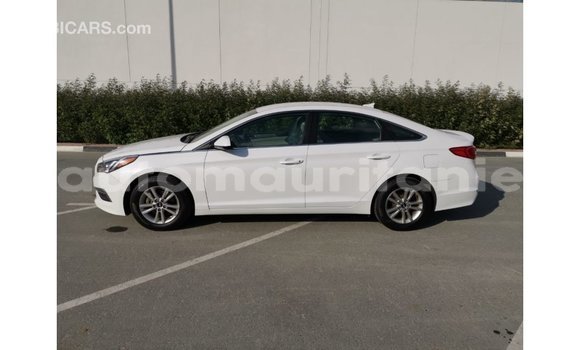 Buy Import Hyundai Sonata White Car in Import - Dubai in Adrar Buy Import Hyundai Sonata White Car in Import - Dubai in Adrar