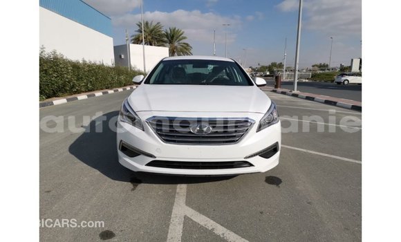 Buy Import Hyundai Sonata White Car in Import - Dubai in Adrar Buy Import Hyundai Sonata White Car in Import - Dubai in Adrar