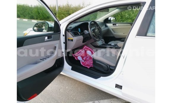 Buy Import Hyundai Sonata White Car in Import - Dubai in Adrar Buy Import Hyundai Sonata White Car in Import - Dubai in Adrar