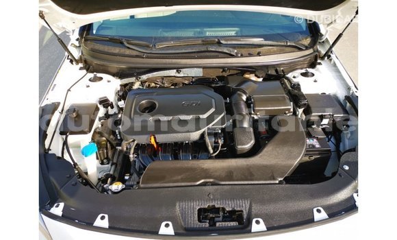 Buy Import Hyundai Sonata White Car in Import - Dubai in Adrar Buy Import Hyundai Sonata White Car in Import - Dubai in Adrar