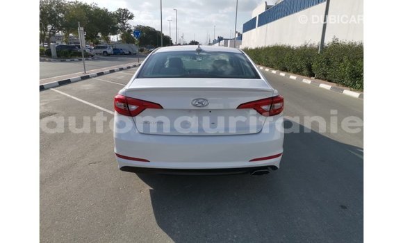 Buy Import Hyundai Sonata White Car in Import - Dubai in Adrar Buy Import Hyundai Sonata White Car in Import - Dubai in Adrar