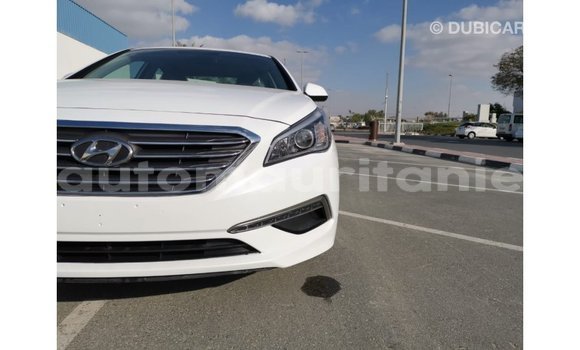 Buy Import Hyundai Sonata White Car in Import - Dubai in Adrar Buy Import Hyundai Sonata White Car in Import - Dubai in Adrar