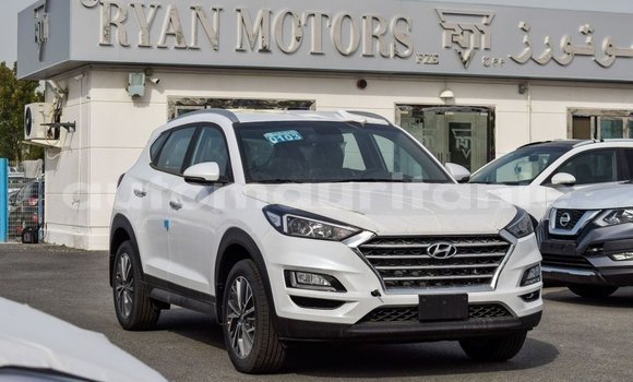 Buy Import Hyundai Tucson White Car in Import - Dubai in Adrar Buy Import Hyundai Tucson White Car in Import - Dubai in Adrar