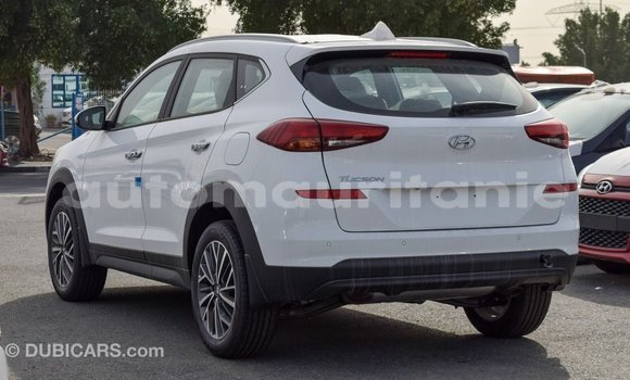 Buy Import Hyundai Tucson White Car in Import - Dubai in Adrar Buy Import Hyundai Tucson White Car in Import - Dubai in Adrar