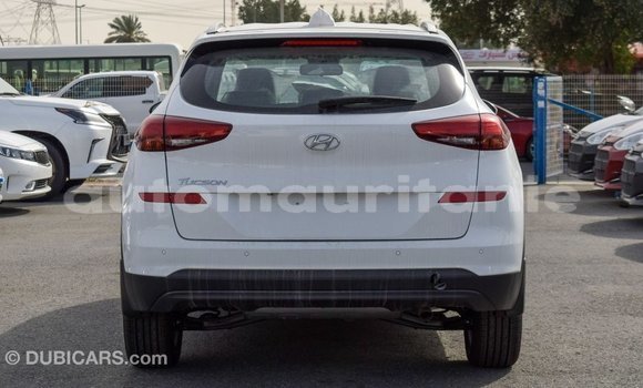 Buy Import Hyundai Tucson White Car in Import - Dubai in Adrar Buy Import Hyundai Tucson White Car in Import - Dubai in Adrar
