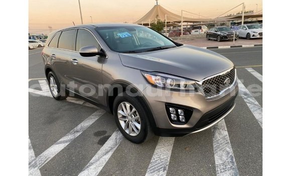 Acheter Import Voiture Kia Sorento Autre à Import - Dubai, Adrar Acheter Import Voiture Kia Sorento Autre à Import - Dubai, Adrar