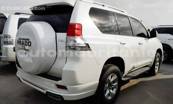 Acheter Import Voiture Toyota Prado Blanc à Import - Dubai, Adrar Acheter Import Voiture Toyota Prado Blanc à Import - Dubai, Adrar