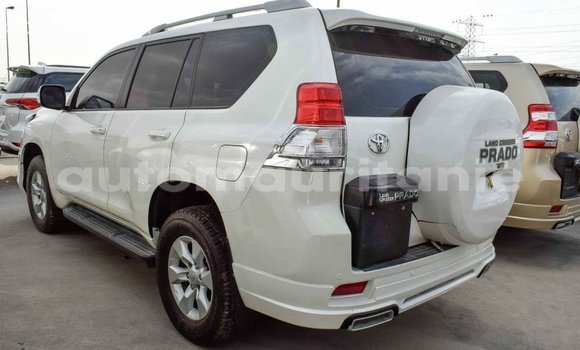Acheter Import Voiture Toyota Prado Blanc à Import - Dubai, Adrar Acheter Import Voiture Toyota Prado Blanc à Import - Dubai, Adrar
