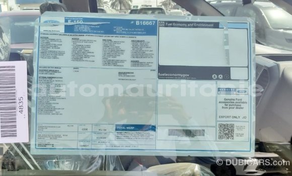 Buy Import Ford Club Wagon Red Car in Import - Dubai in Adrar Buy Import Ford Club Wagon Red Car in Import - Dubai in Adrar