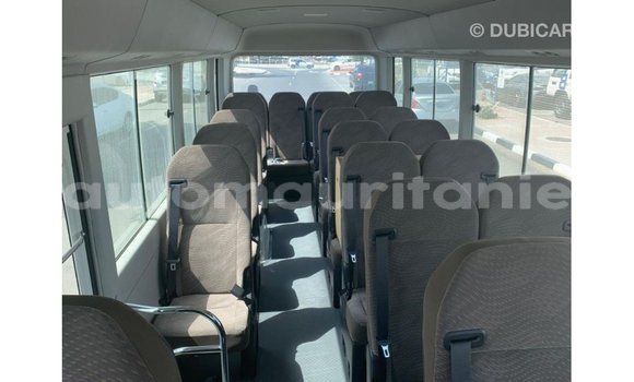 Buy Import Toyota Coaster White Car in Import - Dubai in Adrar Buy Import Toyota Coaster White Car in Import - Dubai in Adrar