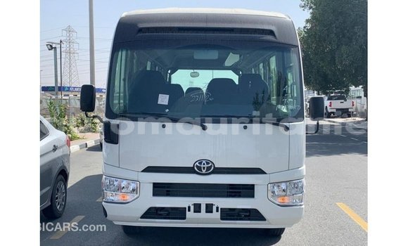 Buy Import Toyota Coaster White Car in Import - Dubai in Adrar Buy Import Toyota Coaster White Car in Import - Dubai in Adrar