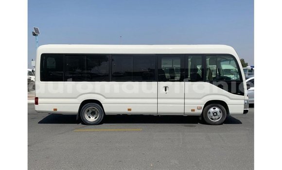 Buy Import Toyota Coaster White Car in Import - Dubai in Adrar Buy Import Toyota Coaster White Car in Import - Dubai in Adrar