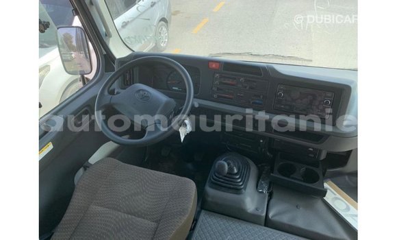 Buy Import Toyota Coaster White Car in Import - Dubai in Adrar Buy Import Toyota Coaster White Car in Import - Dubai in Adrar