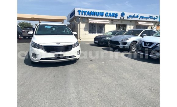 Buy Import Kia Carnival White Car in Import - Dubai in Adrar Buy Import Kia Carnival White Car in Import - Dubai in Adrar