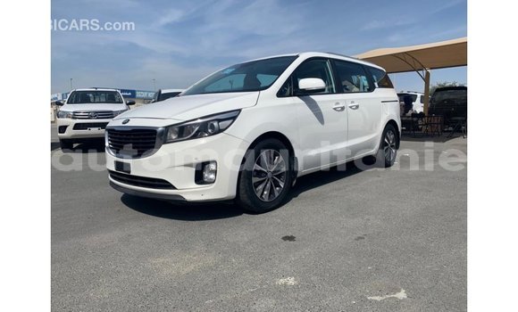 Buy Import Kia Carnival White Car in Import - Dubai in Adrar Buy Import Kia Carnival White Car in Import - Dubai in Adrar