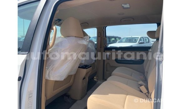 Buy Import Kia Carnival White Car in Import - Dubai in Adrar Buy Import Kia Carnival White Car in Import - Dubai in Adrar