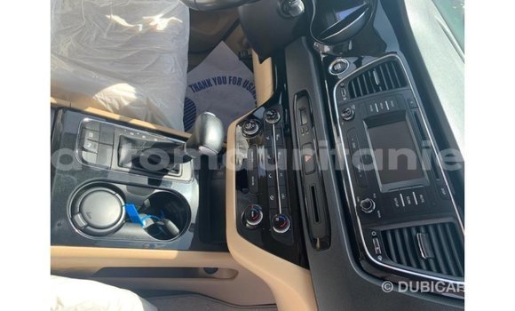 Buy Import Kia Carnival White Car in Import - Dubai in Adrar Buy Import Kia Carnival White Car in Import - Dubai in Adrar