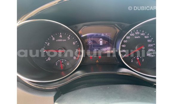 Buy Import Kia Carnival White Car in Import - Dubai in Adrar Buy Import Kia Carnival White Car in Import - Dubai in Adrar