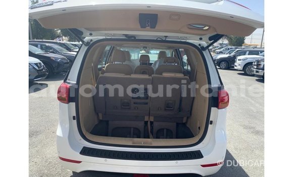 Buy Import Kia Carnival White Car in Import - Dubai in Adrar Buy Import Kia Carnival White Car in Import - Dubai in Adrar