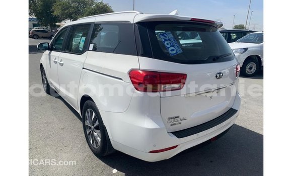 Buy Import Kia Carnival White Car in Import - Dubai in Adrar Buy Import Kia Carnival White Car in Import - Dubai in Adrar