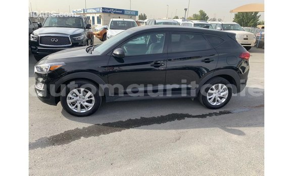 Buy Import Hyundai Tucson Black Car in Import - Dubai in Adrar Buy Import Hyundai Tucson Black Car in Import - Dubai in Adrar