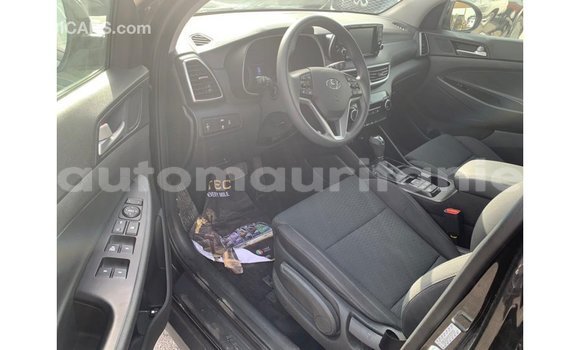 Buy Import Hyundai Tucson Black Car in Import - Dubai in Adrar Buy Import Hyundai Tucson Black Car in Import - Dubai in Adrar
