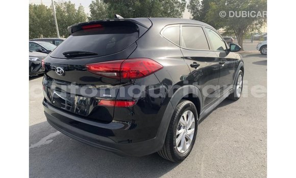 Buy Import Hyundai Tucson Black Car in Import - Dubai in Adrar Buy Import Hyundai Tucson Black Car in Import - Dubai in Adrar
