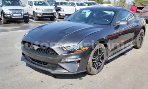 Buy Import Ford Mustang Other Car in Import - Dubai in Adrar Buy Import Ford Mustang Other Car in Import - Dubai in Adrar