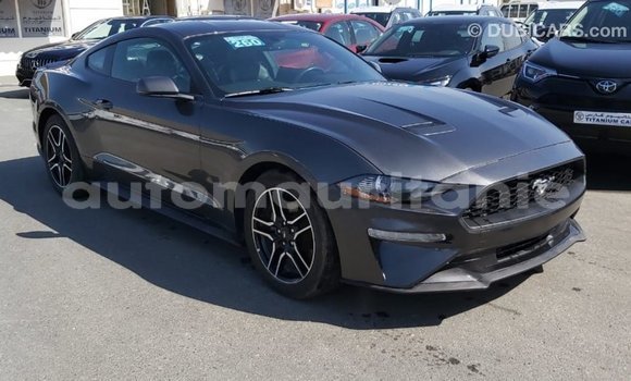 Buy Import Ford Mustang Other Car in Import - Dubai in Adrar Buy Import Ford Mustang Other Car in Import - Dubai in Adrar