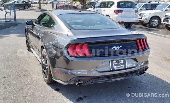 Buy Import Ford Mustang Other Car in Import - Dubai in Adrar Buy Import Ford Mustang Other Car in Import - Dubai in Adrar