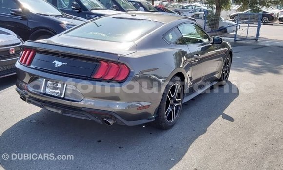 Buy Import Ford Mustang Other Car in Import - Dubai in Adrar Buy Import Ford Mustang Other Car in Import - Dubai in Adrar