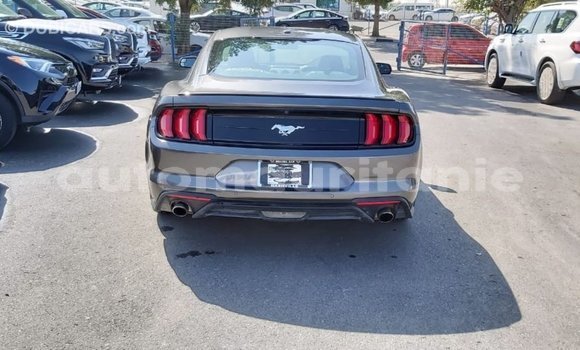 Buy Import Ford Mustang Other Car in Import - Dubai in Adrar Buy Import Ford Mustang Other Car in Import - Dubai in Adrar
