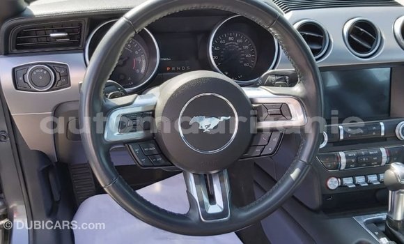 Buy Import Ford Mustang Other Car in Import - Dubai in Adrar Buy Import Ford Mustang Other Car in Import - Dubai in Adrar