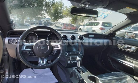 Buy Import Ford Mustang Other Car in Import - Dubai in Adrar Buy Import Ford Mustang Other Car in Import - Dubai in Adrar