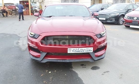 Buy Import Ford Mustang Red Car in Import - Dubai in Adrar Buy Import Ford Mustang Red Car in Import - Dubai in Adrar