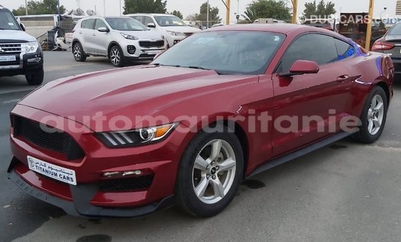 Buy Import Ford Mustang Red Car in Import - Dubai in Adrar Buy Import Ford Mustang Red Car in Import - Dubai in Adrar