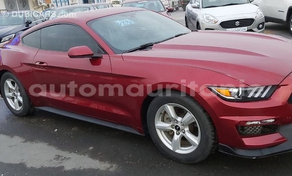 Buy Import Ford Mustang Red Car in Import - Dubai in Adrar Buy Import Ford Mustang Red Car in Import - Dubai in Adrar
