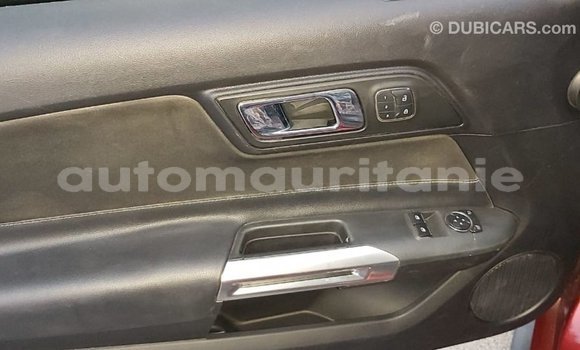 Buy Import Ford Mustang Red Car in Import - Dubai in Adrar Buy Import Ford Mustang Red Car in Import - Dubai in Adrar