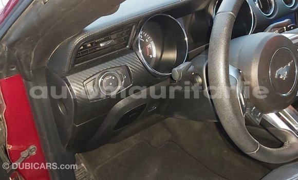 Buy Import Ford Mustang Red Car in Import - Dubai in Adrar Buy Import Ford Mustang Red Car in Import - Dubai in Adrar