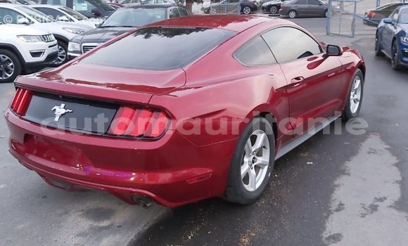 Buy Import Ford Mustang Red Car in Import - Dubai in Adrar Buy Import Ford Mustang Red Car in Import - Dubai in Adrar