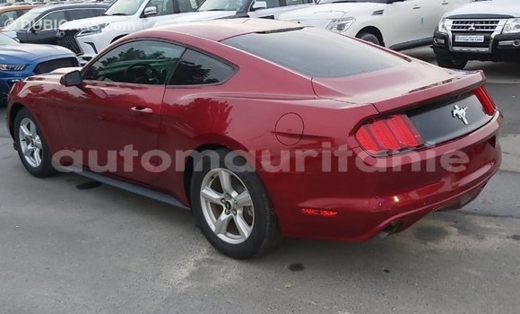 Buy Import Ford Mustang Red Car in Import - Dubai in Adrar Buy Import Ford Mustang Red Car in Import - Dubai in Adrar