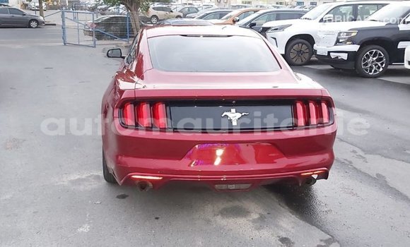 Buy Import Ford Mustang Red Car in Import - Dubai in Adrar Buy Import Ford Mustang Red Car in Import - Dubai in Adrar
