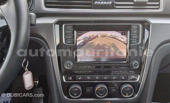 Buy Import Volkswagen Passat Red Car in Import - Dubai in Adrar Buy Import Volkswagen Passat Red Car in Import - Dubai in Adrar