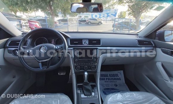 Buy Import Volkswagen Passat Blue Car in Import - Dubai in Adrar Buy Import Volkswagen Passat Blue Car in Import - Dubai in Adrar