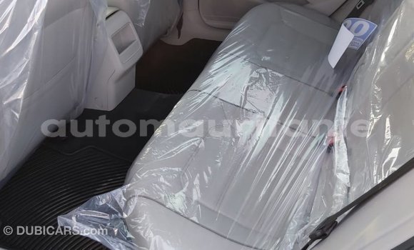 Buy Import Volkswagen Passat Blue Car in Import - Dubai in Adrar Buy Import Volkswagen Passat Blue Car in Import - Dubai in Adrar