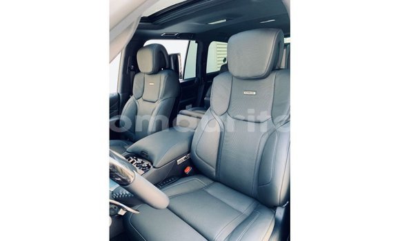 Buy Import Lexus LX Black Car in Import - Dubai in Adrar Buy Import Lexus LX Black Car in Import - Dubai in Adrar